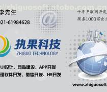 上海软件人力外包优质商家置顶推荐产品